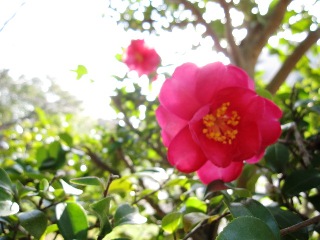 写真6