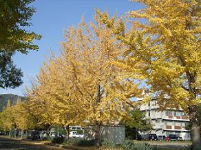 写真2