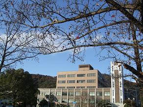 写真4